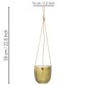 Üveg virágcserép/függőlámpás, lila/zöld, 14 cm, 2 darab | Floristik24.hu