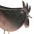 Floristik24 Virágcserép Chicken Metal Bird Metallic Rosé 51×16×37cm