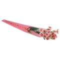 Floristik24 Virágtáska szívecskékkel rózsaszín Rózsához 50cm 50db