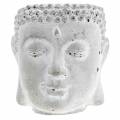 Floristik24 Buddha fej betonültetéshez szürke, fehér mosott Ø8 H8cm