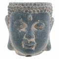 Floristik24 Buddha fej ültetéshez antik megjelenés betonfekete Ø8 H8cm