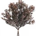 Mesterséges növények barna őszi dekoráció téli dekoráció Drylook 38cm 3db