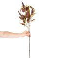 Művirág piros levelekkel, műnövény, 20cm | Floristik24.hu