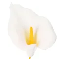 Műkála sárga porzóval, dekoratív virágokkal, 35 cm, 10 darab | Floristik24.hu