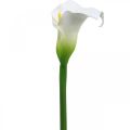 Floristik24 Mesterséges Calla White Esküvői Dekor Selyem Virág Évforduló L72cm