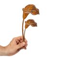 Kerti karó kálavirág rozsda sírokhoz és virágkötészethez 25cm 6db | Floristik24.hu
