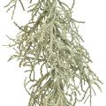 Floristik24 Calocephalus Garland mesterséges növények ezüstszürke 122cm