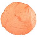 Floristik24 Capiz kagyló Capiz szeletek gyöngyház szeletek narancs 7,5-9,5 cm 300g