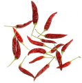 Chilis piros rövid Chili 250g