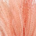 Floristik24 Kínai nád világos rózsaszín száraz fű Miscanthus H75cm 10db