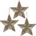 Floristik24 Karácsonyfa díszek, Adventi díszek, csillag medál Golden B20,5cm 6db