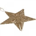 Floristik24 Karácsonyfadíszek, Adventi díszek, csillag medálok arany W30cm 4db