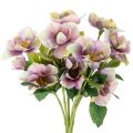 Floristik24 Műrózsa csokor karácsonyi virágokkal, 35 cm, 6 darab