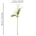 Műrózsa csokor karácsonykor, karácsonyi csokor, 35cm, 6 darab | Floristik24.hu