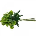 Floristik24 Karácsonyi rózsa Nagyböjti rózsa Hellebore művirág zöld L34cm 4db