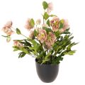 Floristik24 Művirág cserepes hunyor, karácsonyi rózsa, lakberendezési tárgy, 50cm
