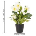 Műrózsa, cserepes virág, asztaldísz, 34cm | Floristik24.hu