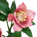 Floristik24 Karácsonyi rózsa rózsaszín L22cm 1db