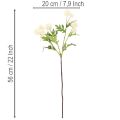 Mű krizantém virág, krémfehér csokor, díszes ág, nagy 56 cm, 4 darab | Floristik24.hu