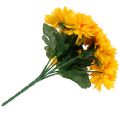 Floristik24 Krizantém sárga, 7 virággal