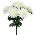 Floristik24 Fehér krizantém 7 virággal