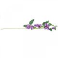 Floristik24 Mesterséges klematisz, selyemvirág, dekoratív ág klematisz virágokkal ibolya L84cm