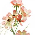 Floristik24 Cosmea ékszerkosár Barack művirág nyári virágok 61cm
