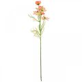Floristik24 Cosmea ékszerkosár Barack művirág nyári virágok 61cm