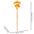 Craspedia szárazvirág csokor 55cm 20db | Floristik24.hu