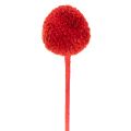 Szárított Craspedia virágok, festettek, hosszú szárral, 55 cm, 20 darab | Floristik24.hu