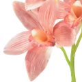 Floristik24 Cymbidium orchidea mesterséges 5 virágú őszibarack 65cm