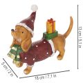 Dekoratív tacskó figura ajándékcsomaggal és kalappal, 18cm | Floristik24.hu