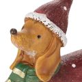 Dekoratív tacskó figura ajándékcsomaggal és kalappal, 18cm | Floristik24.hu