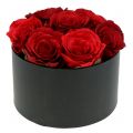Floristik24 Virágláda rózsadoboz fekete kerek Ø18cm - Ø20cm 2db