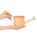 Dekoratív öntözőkanna szett pasztell lazac, zöld, sárgászöld színekben - fém virágtartó Ø11cm M10cm, 8 darabos | Floristik24.hu