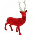 Floristik24 Dekoratív szarvas dekoratív figura dekoratív rénszarvas nyelt piros H40cm