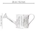 Dekoratív öntözőkanna, ültető, öntözőkanna ültetéshez Ø10.5cm | Floristik24.hu
