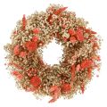 Floristik24 Dekoratív koszorú szárított virágok virágkoszorú narancs krém Ø25cm