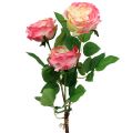 Floristik24 Deco rózsa rózsaszín Ø10cm 52cm 3db