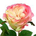 Floristik24 Deco rózsa rózsaszín Ø10cm 52cm 3db