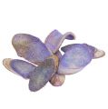 Floristik24 Dekoratív szelet világos lila 300g