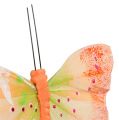 Floristik24 Dísz pillangók dróton, színes 8,5cm, 12db