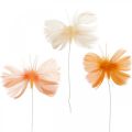 Floristik24 Narancssárga árnyalatú pillangók, tavaszi dekoráció Dróton tollas pillangók 6db