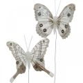 Floristik24 Dekoratív pillangók fehér, barna tollas pillangó dróton 7,5cm 6db