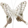 Floristik24 Dekoratív pillangók fehér, barna tollas pillangó dróton 7,5cm 6db