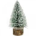 Floristik24 Karácsonyi dekoráció, deco fenyő, mini fenyő zöld havas H15cm Ø9,5cm 6db