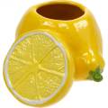 Floristik24 Dekoratív fazék citromváza citrusfélék kerámia nyári dekoráció