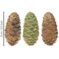 Dekoratív kerámia fenyőtobozok, vegyes zöld, sárga, barna színben, 8,5 cm, 6 darab | Floristik24.hu