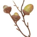 Dekoratív ág makk dekoráció zöld őszi dekoráció mű 80cm | Floristik24.hu