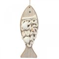 Floristik24 Deco hal medál fa hal tengeri dekoráció fa 6,5×19,5cm